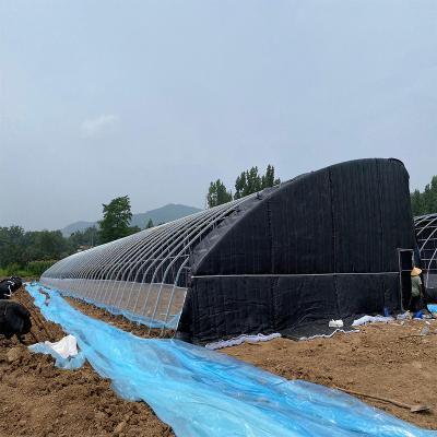 China High strength a complete system for newly designed solar film greenhouse for sale