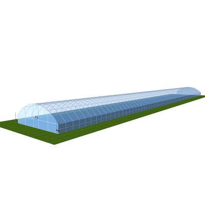 China Good quality vegetable agricultural fruit flower greenhouse made in China for sale