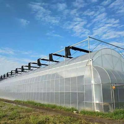 China High Strength Agricultural Greenhouse Made in China for sale