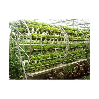 China High Strength Manufacturers Supply Customized Size Made In China Aerosol Cultivation Greenhouse For Hydroponic Strawberry for sale