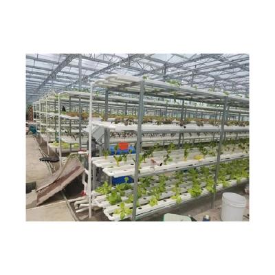 China High Strength Customizable Soilless Cultivation Hydroponics High Strength Customizable Soilless Factory Supply High Tech Greenhouse for sale