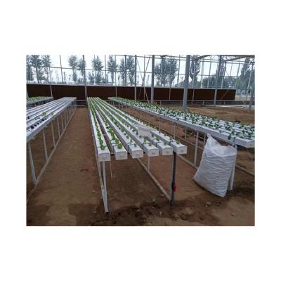 China New 2028 Pipeline Efficient and Professional Hydroponics High Strength Customizable Indoor Hydroponic Systems for sale