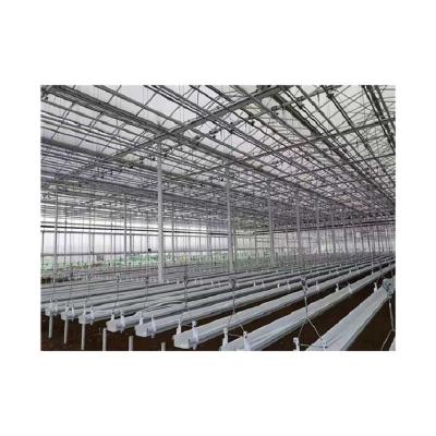 China High Strength Chinese Supply Accept Customization Simple And Convenient Operation Strawberry Lifting Hi-tech Greenhouse for sale