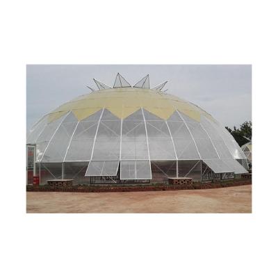 China High Strength Customizable Efficient And Professional New 2024 Spherical Plastic Sheets Automated Other Greenhouse for sale