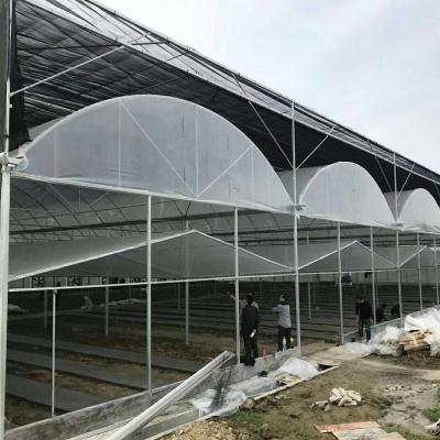 China Multispan High Strength Agricultural Greenhouse for sale