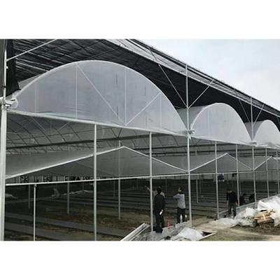 China High Strength Agricultural Price Greenhouses For Armenia Market for sale