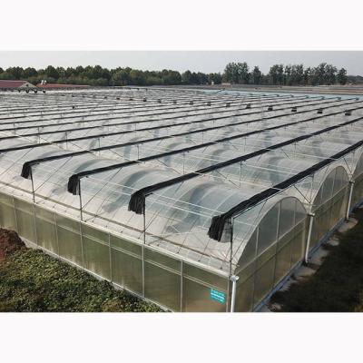 China Good Quality China Multi-Span High Strength Greenhouses For Canada Market for sale