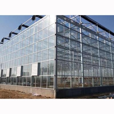 China Multi-span High Strength Greenhouses For Armenia Market for sale