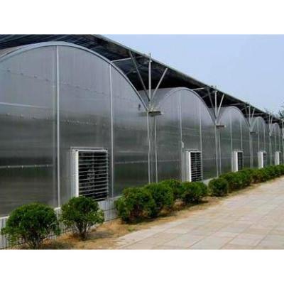 China High Strength Agricultural Greenhouses Made in China for sale