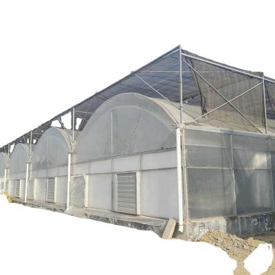 China New Brand 2022 Agricultural Film 120micron PE Strawberries Sun Plastic Span Greenhouse for sale