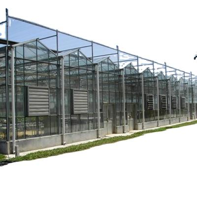 China Plant Equipment Hydroponic Multi-span Systems Vegetable Agriculture Flowers Fruits Flowers Glass Greenhouse Other Greenhouses For Sale for sale