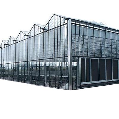 China Smart Agriculture Vegetable Greenhouse Multi Span Glass Fruit Fruits Flowers Greenhouse With Hydroponics Grow System for sale