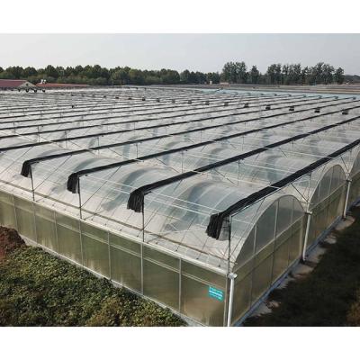 China High Strength Agriculture Tunnel Greenhouse For New Zealand Market for sale