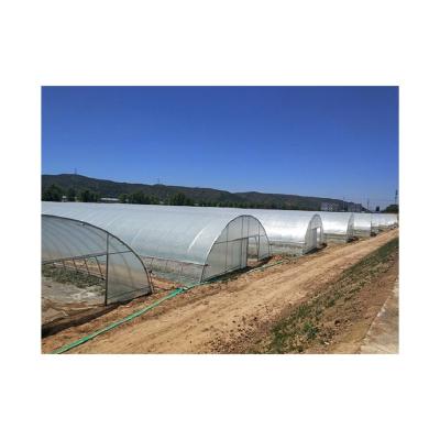 China New Spring and Autumn Arched Shed Agricultural Seedling Customizable High Strength Greenhouse Cold Proof Arch for sale