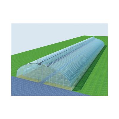 China High Strength Manufacturers Supply Double Arch Membrane Insulation Arch Shed Greenhouse Greenhouse Film Tie Light Trap Film Tarp for sale