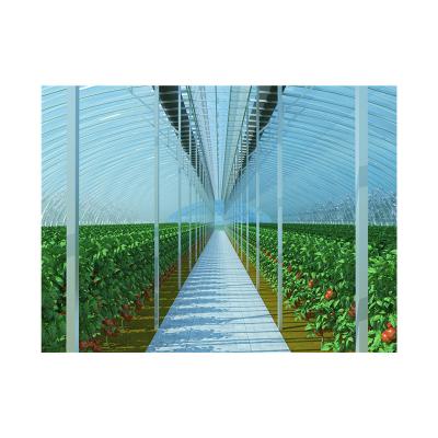 China High Strength Wholesale Price Greenhouse Arches Film Shed Plastic House Membrane Multi-span Agricultural Greenhouses Customize CN; NHS for sale