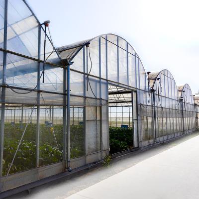 China High Strength Plastic Green House Growing in Tanzania Thermal Chinese Ultra Clear Glass for Greenhouses Semi Hydroponics Agriculture for sale