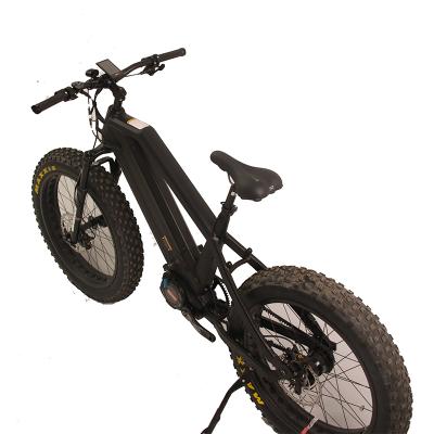 China Aluminum alloy Changzhou leili 48v 1000w mid battery powerful dual bafang motor M620 electric bicycle ebike for sale