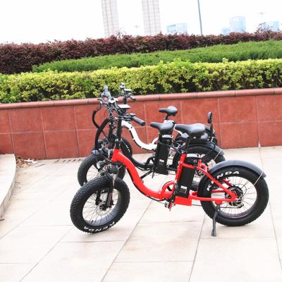 China 20inch Alloy Aluminum Folding Ebike , 750w Electric Bike&electric Bicycle for sale