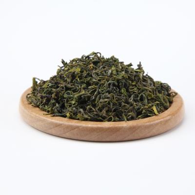 China China Rizhao High Natural Famous Natural Organic Fresh Green Tea for sale