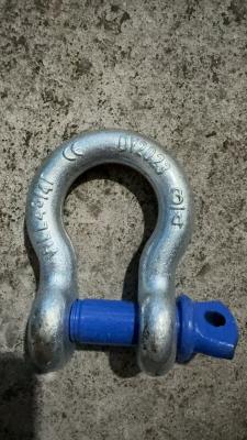 China G209 Lifting Screw Pin Bow Shackle Galvanized Wire Rope Hardware for sale