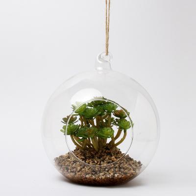 China Hanging home decoration or table decoration artificial succulent plants in glass pot for sale