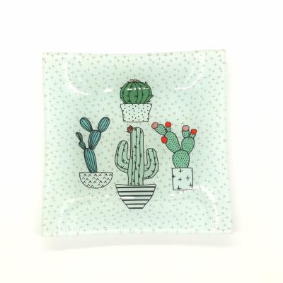 China Pas Kleurenins het Dinerplaten aan van het Cactus Vierkante Glas Te koop