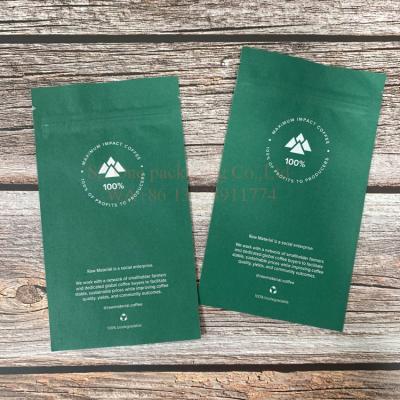 China Moisture Proof Biodegradable Laminated Food Grade PLA Ink Material Kraft Paper Zipper Packaging Bag for sale