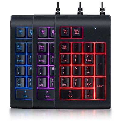 China Mini Numpad 19 Keys RGB Backlight Numpad Keypad Number Key Top Numpad Mechanical Wired Keyboard For Laptop Desktop PC for sale