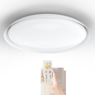 China White Battery Powered LED Lights / Plastic LED Ceiling Lights For Homes for sale