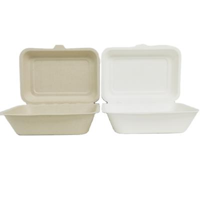 China Modern Customizable Professional Plant Clamshell 7x5 Inch Rectangle Shape Box Compostable Food Container for sale