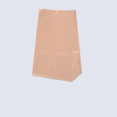 China Manufacturer Supplier Packaging Kraft Recyclable Customizable Paper Square Bottom Food Bags Custom Logo For Snack for sale