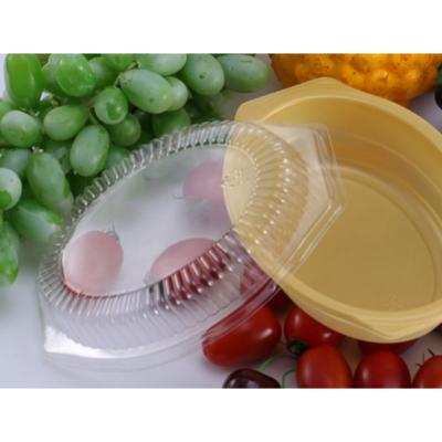 China Manufacturer Supplier Disposable Plastic Disposable Customizable Box Eco Friendly Transparent Shaped Food Packaging for sale