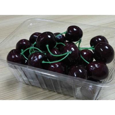 China Teansparent Disposable Customizable Customizable Customized Professional Fruit Plant Food Packaging PET Square Transparent Lock Box for sale