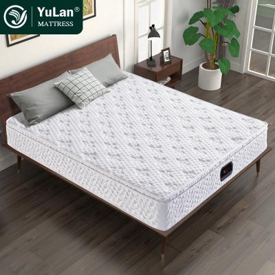 Cina Foldable Breathable Euro Decompression King Superior Memory Foam Hybrid Mattress in vendita