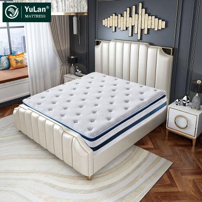 China Foldable Custom Fitted Anti Mite Quilted Fabric Mattress Sponge Foam Mattress Bed Mattress zu verkaufen