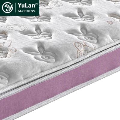 China Foldable Natural Anti Dust Mites Sleep Sheet Environmental Mattress 50 Density Latex Mattress zu verkaufen