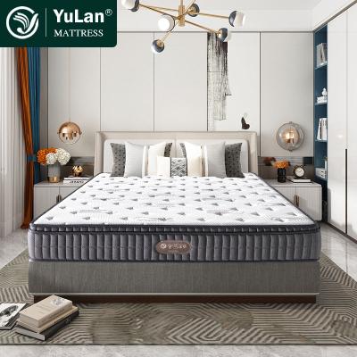 China Foldable Hot Selling Cheap Latex Foam Mattress Queen Size Pocket Spring Hotel Bed Mattress zu verkaufen