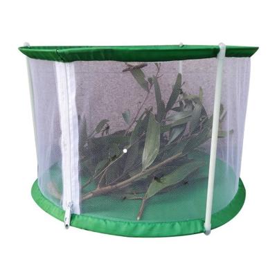 China Newest breathable insect and butterfly habitat mini greenhouse, pop up insect cage, reptile cages mini greenhouses for sale