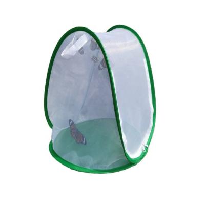 China Newest Viable Butterfly Breeding Cage, Collapsible Butterfly Insect Habitat Cage for sale