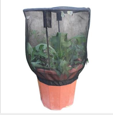 China Customized Viable Self Supporting Net Flower Pot Cages For Insect Butterflies Breeding Plant Pot Cover for sale