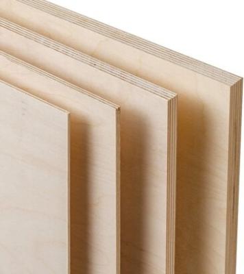 China 5MM 4x8 5x5 Birch Face Modern UV Poplar/Combi/Eucalyptus Core Plywood for Cabinet and Furniture for sale