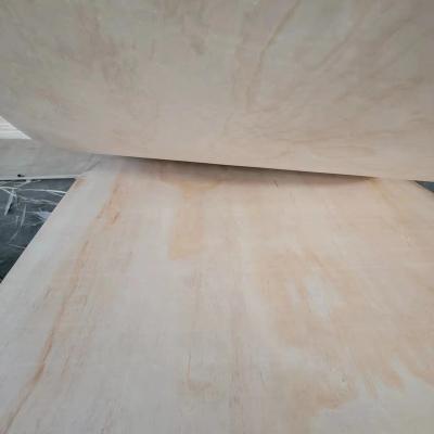 China 9-30MM Modern Furniture Commercial Plywood Pine Plywood for sale