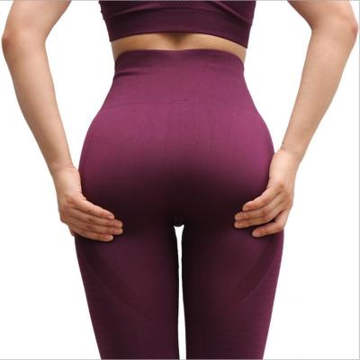 China Wholesale Breathable Custom Size Women's High Waisted Yoga Workout Gaiters Seamless Gym Sports Fitness Gaiters for sale