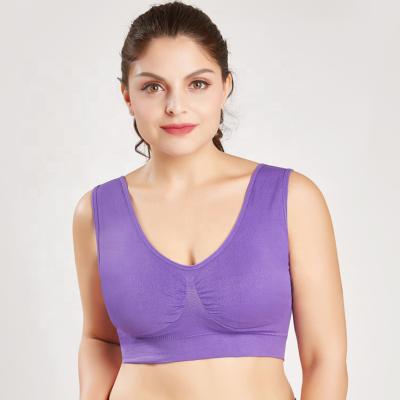 China Breathable Plus Size Sports Bras For Women Fitness Wear Seamless Yoga Bra Push Up Workout Sports Bra for sale