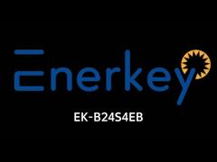 Enerkey 2-24s 8s 16s 20s 4a 8a 10a 15a Li-ion/lifepo4/lto BMS with BT Battery Balancer