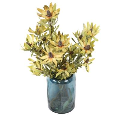 China Natural Dry Leucadendron Flower Bouquet Touch Free Sample Natural Dry Lasting 3-5 Years For Decorations for sale