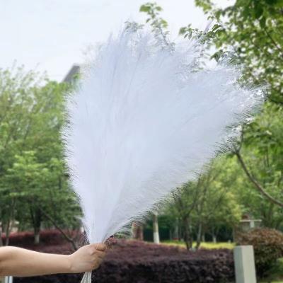 China Hand Made Plant Faux Hot Selling Artificial Pampas Grass For Home Decoration for sale