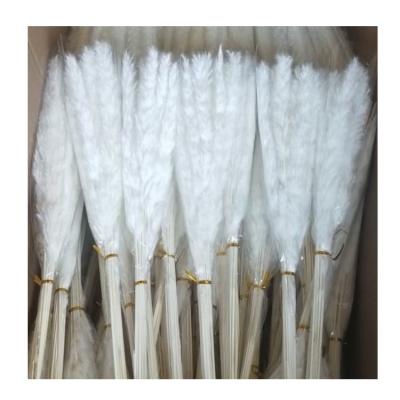 China Wedding home best-selling home decoration decorative pampas grass 45cm small artificial for sale