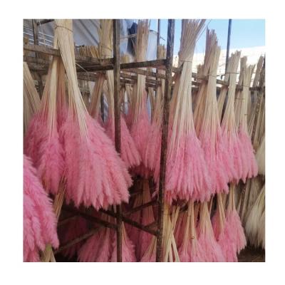 China Best Selling Plant Decoration Small Home Colored Natural Black White Dried Pampas Grass Reed For Decorations for sale